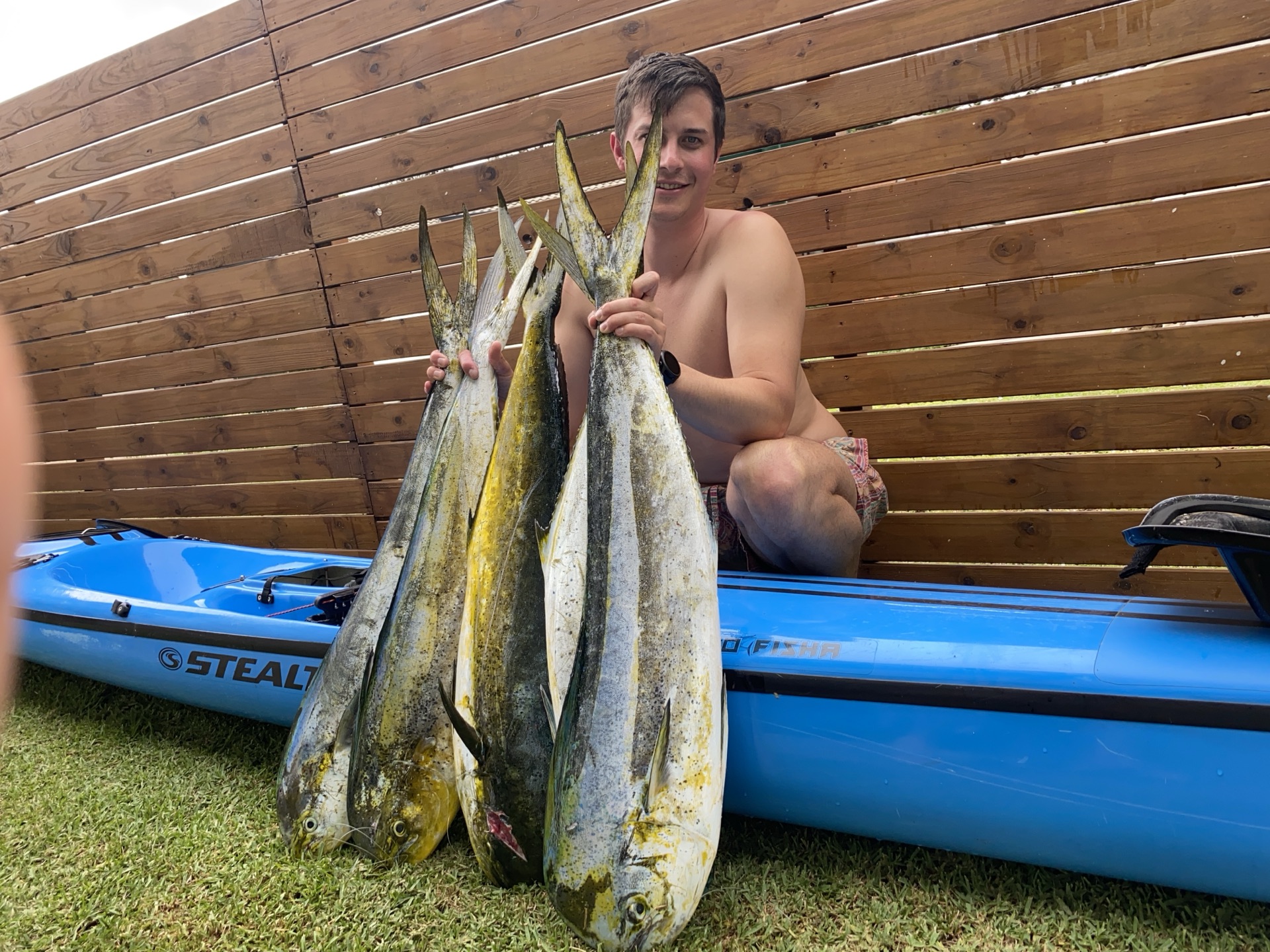 A haul of dorado laid out across the kayak